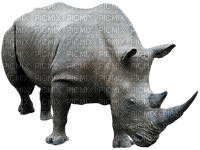 Kaz_Creations Animals Rhinoceros - 免费PNG