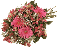 Bouquet de fleurs.Pink.Victoriabea