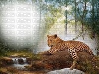 leopard bp - zdarma png
