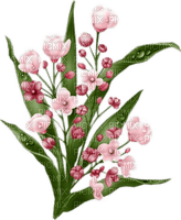 Blumen, rosa - 免费PNG