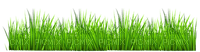 Kaz_Creations Garden-Deco-Grass - PNG gratuit