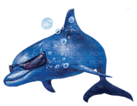dolceluna dolphin - безплатен png
