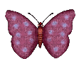papillons - Bezmaksas animēts GIF