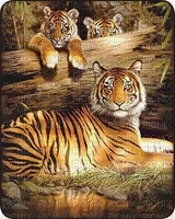 tiger bp - ingyenes png