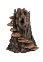 mushrooms - zdarma png