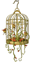 bird cage anastasia - Free PNG