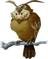 Kaz_Creations Owl Owls - png gratis