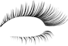 Kaz_Creations  Eyes Eye Lashes Right - PNG gratuit