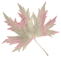 pink maple leaf Bb2 - png ฟรี