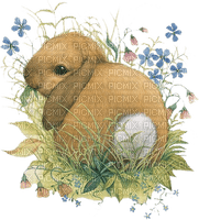Kaz_Creations Easter Deco Bunny Rabbit - PNG gratuit