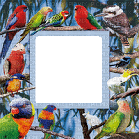 birds parrots 3 d frame oiseaux perroquet cadre🦜🦜 - GIF animé gratuit