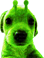 alien dog - png gratis
