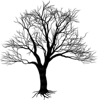 dead tree - PNG gratuit