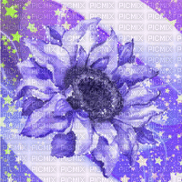 Sa / BG / .anim.sunflowerstarsblue.idca - Bezmaksas animēts GIF