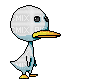 Loud Quacking Duck - GIF animé gratuit
