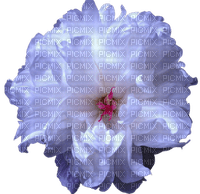 fleur/ HD - png grátis