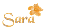 sara - Darmowy animowany GIF