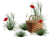 loly33 coquelicot - png gratis