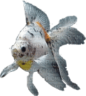 poisson - Gratis animeret GIF