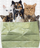 Chats - 免费PNG