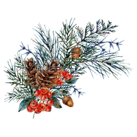 winter branch - δωρεάν png
