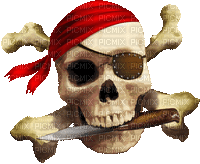 pirate skeleton bp - Darmowy animowany GIF