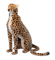 gepard milla1959 - δωρεάν png