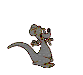 kangourou - Free animated GIF