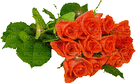 Trandafir 46 - GIF animé gratuit
