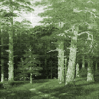 Y.A.M._Landscape forest background green - 免费动画 GIF