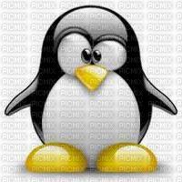 pingouin - PNG gratuit