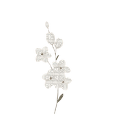VanessaVallo _crea= white flowers deco - ücretsiz png