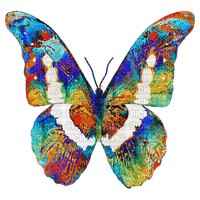 Бабочка;декор - 免费PNG