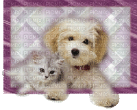Hund - Ingyenes animált GIF
