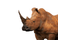 sarvikuono, rhino - png grátis