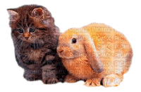 cat and rabbit by nataliplus - 免费PNG
