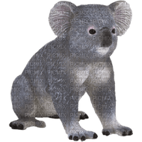 Kaz_Creations Animals Koala Bear - kostenlos png
