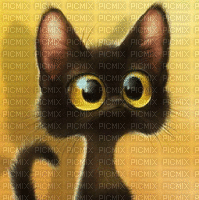 black cat animated - Darmowy animowany GIF