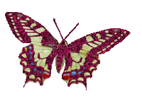 Kaz_Creations Butterflies Butterfly - Gratis geanimeerde GIF