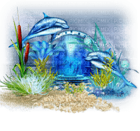 dolphins bp - 免费PNG