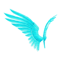 teal wings - bezmaksas png