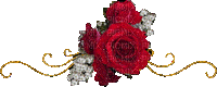 ruža - Darmowy animowany GIF