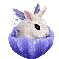 Kaz_Creations Animals Rabbit Hare - kostenlos png
