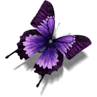 Butterflies - nemokama png