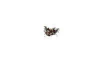 STAMP EFECT  KINOTOKINO - Darmowy animowany GIF