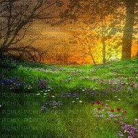 spring background - 無料png