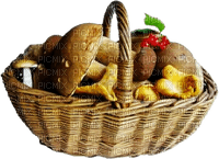 Mushrooms Basket - Bogusia - png ฟรี