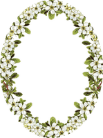 vintage flower frame oval cadre fleur  ovale  fleur - gratis png
