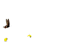 MARIPOSA - Darmowy animowany GIF