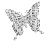 grey butterfly - GIF animate gratis